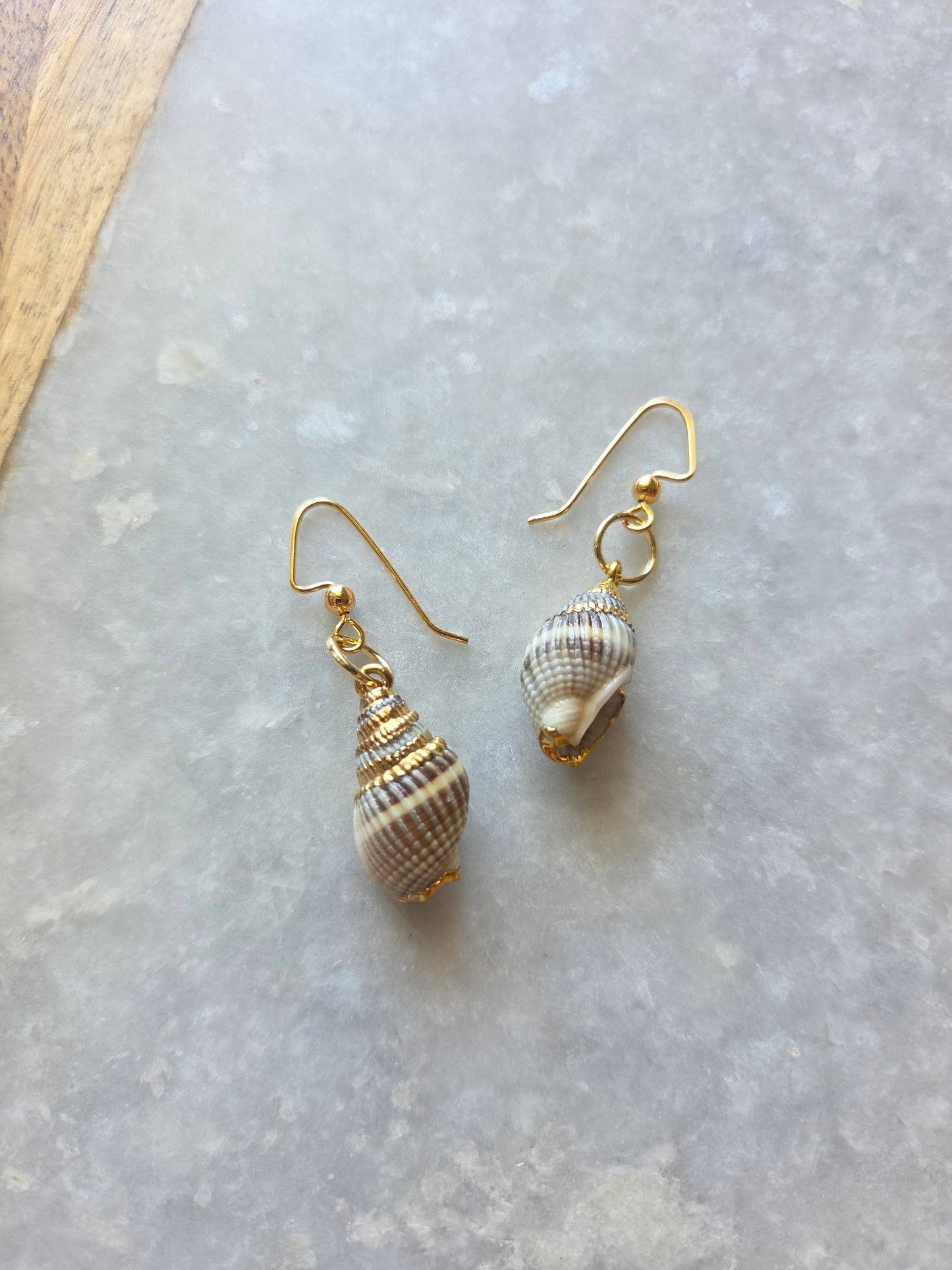 Sea Shell Earrings