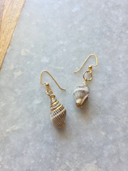 Sea Shell Earrings