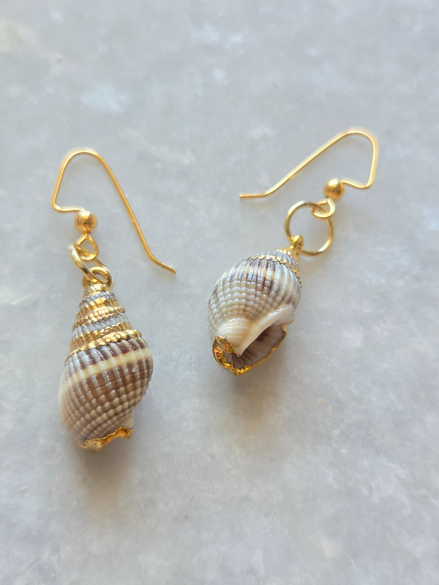 Sea Shell Earrings