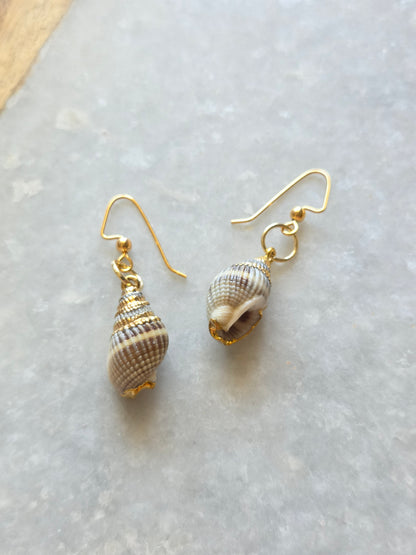 Sea Shell Earrings