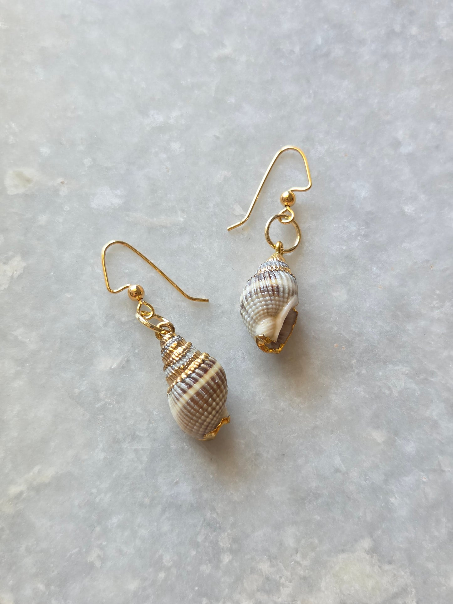 Sea Shell Earrings