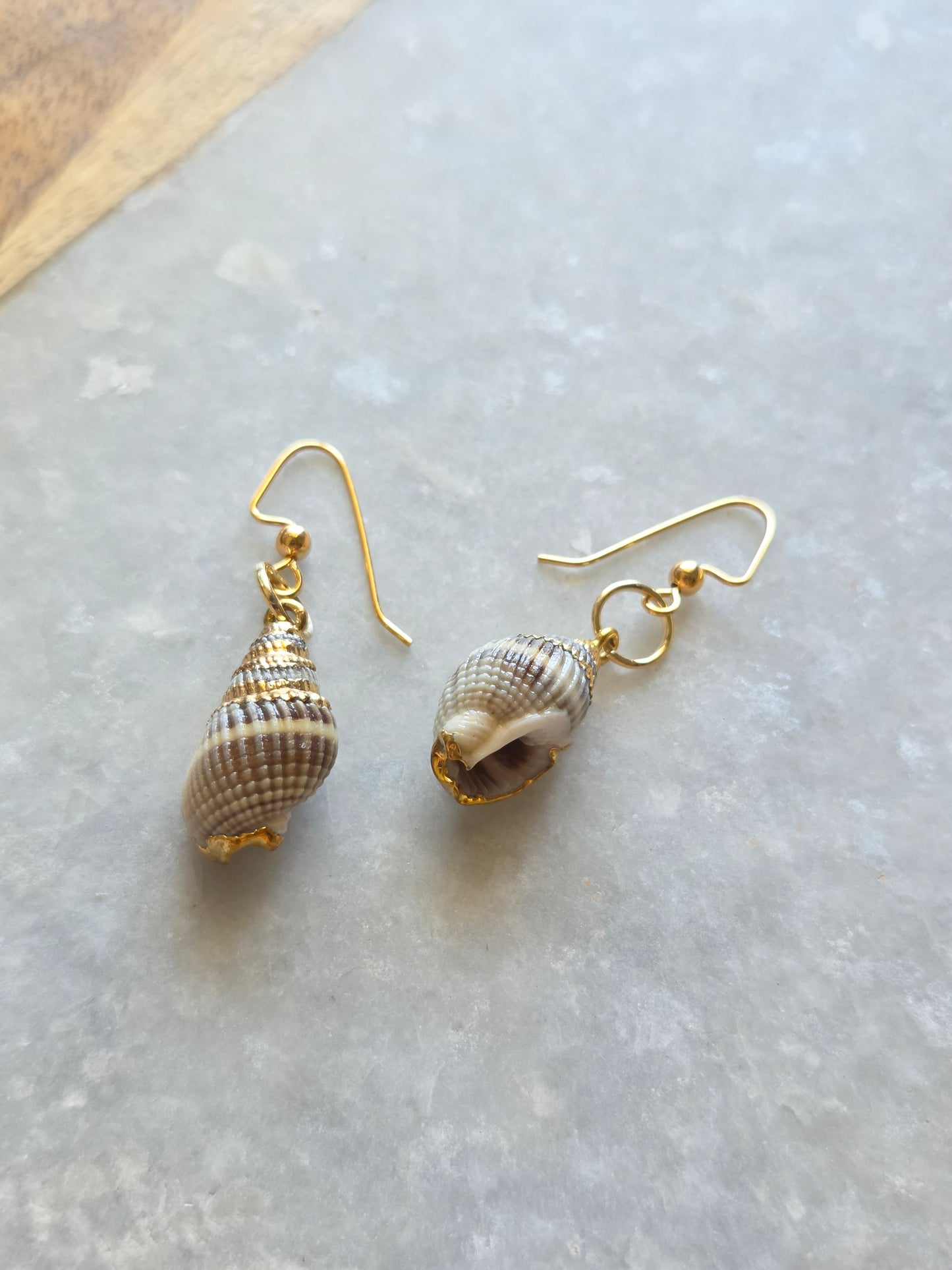 Sea Shell Earrings