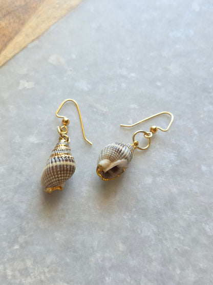 Sea Shell Earrings