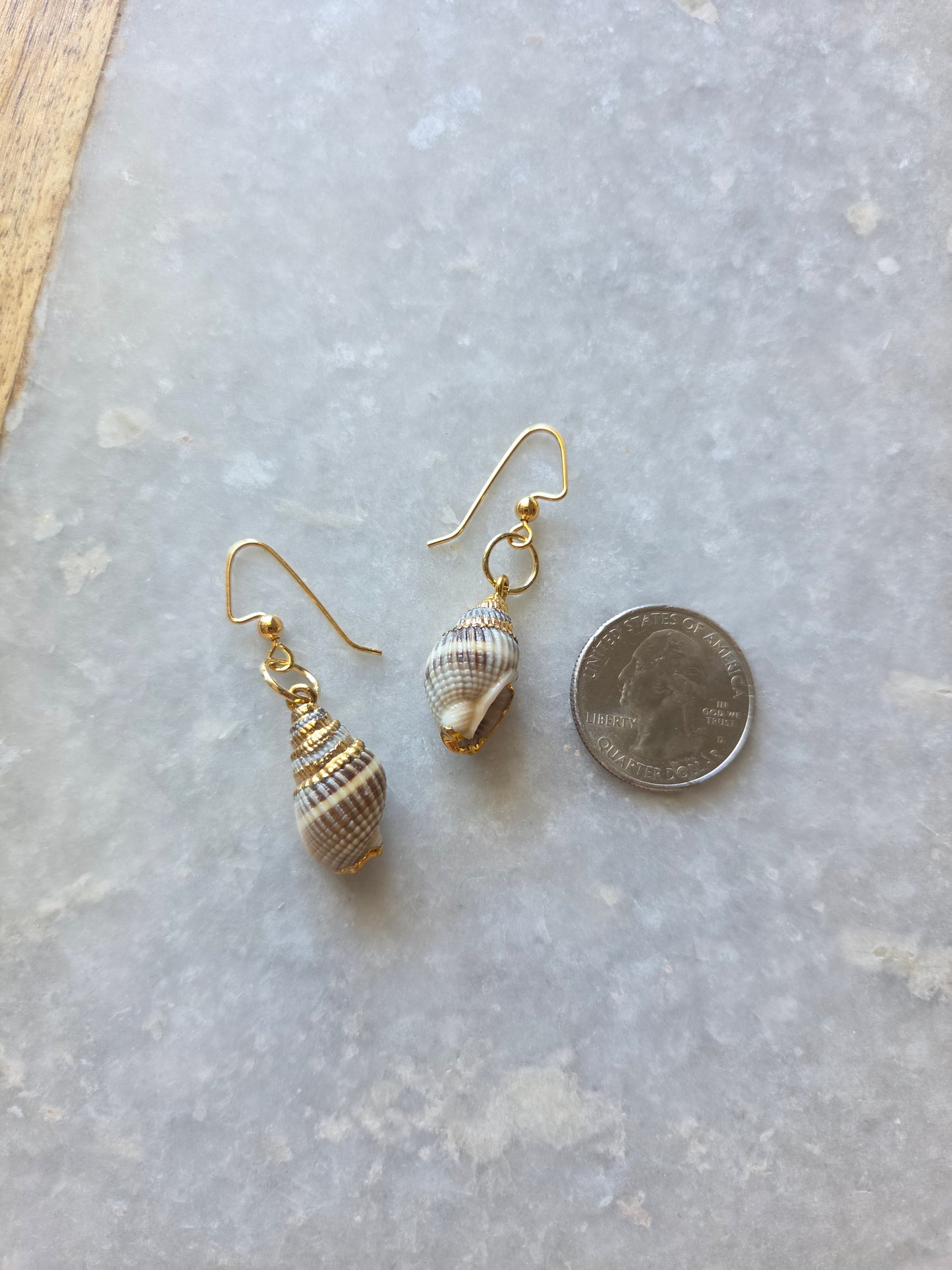 Sea Shell Earrings