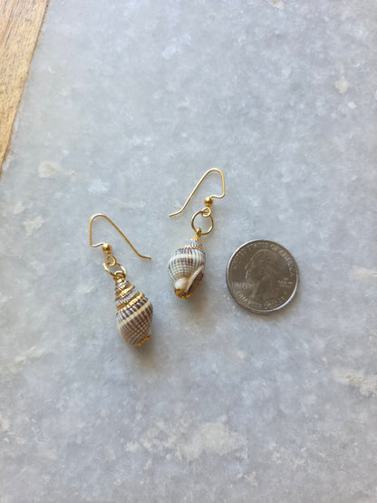 Sea Shell Earrings